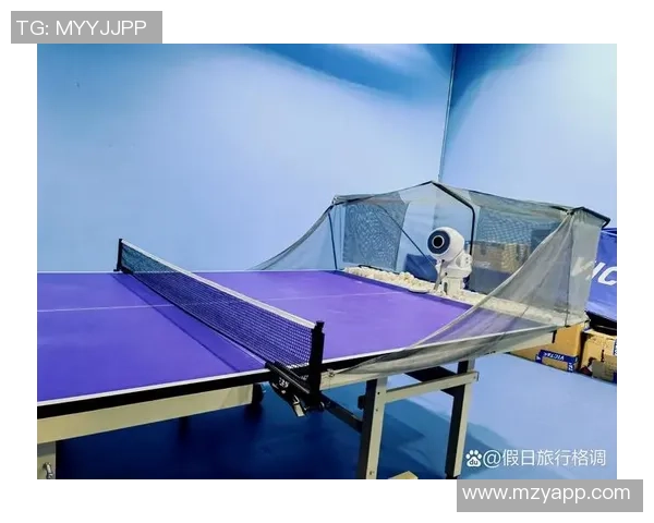 杨秀英独家分享乒乓球技巧与心得体会助你提升球技的秘诀